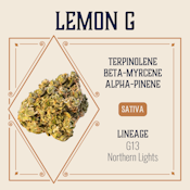 ELEVATE - LEMON G 3.5 GRAMS