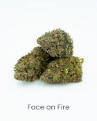 Face on Fire - 3.5g