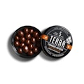 KIVA: DARK CHOCOLATE ESPRESSO BEAN TERRA BITES 100MG 20PK