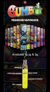 Fly Trap - Fly Trap - King Minute Gumbo - Disposable Vape - 2G