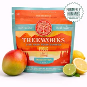 Focus - 100mg Rosin Gummies - Treeworks
