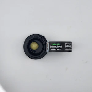 FOCUS NORTH - Focus North | Dab Rosin 1g [H] | Iridium #11