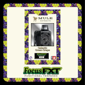 FXT Tank | Disp Flavor 2g | Galactic Green Grape