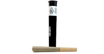 Fog City - Coastal Runtz - Preroll - 1G