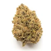 NorthPark-Fog-Dog 3.5 g