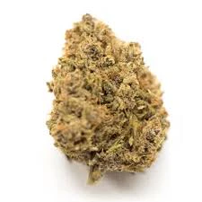 Northpark - NorthPark-Fog-Dog 3.5 g Main Image
