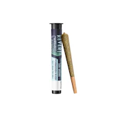 Revert | Pre-roll | Forbidden Kush | 0.5g