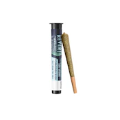 Forbidden Kush | Pre-roll | 0.5g | Revert