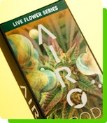 Airo | Live Flower Pod | Lemon Zest | 1g