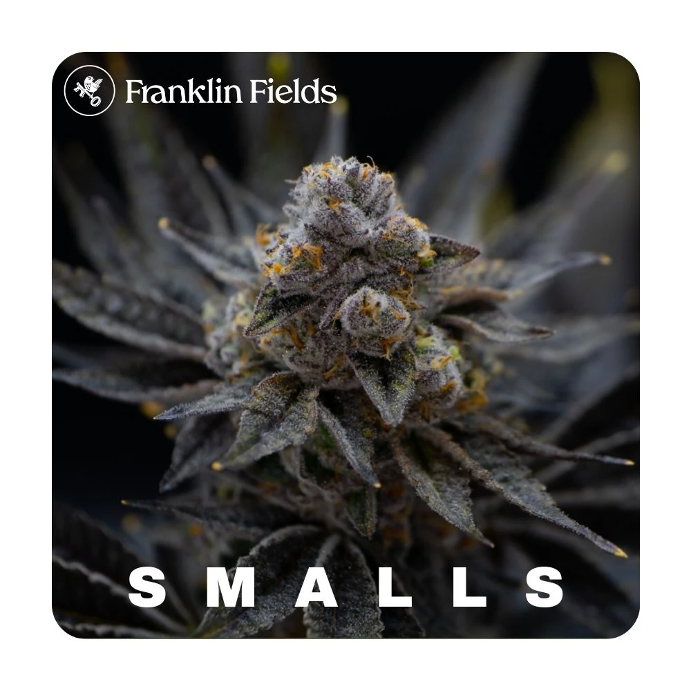 Franklin Fields - First Class Funk Bulk Flower Smalls - FRANKLIN FIELDS Main Image