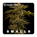 Jilly Glue Bulk Flower Smalls - FRANKLIN FIELDS