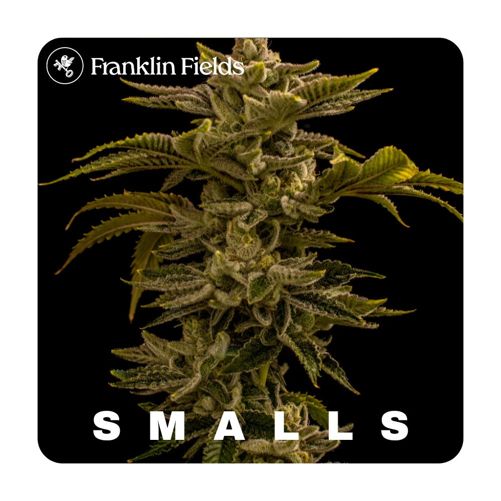 Franklin Fields - Jilly Glue Bulk Flower Smalls - FRANKLIN FIELDS Main Image