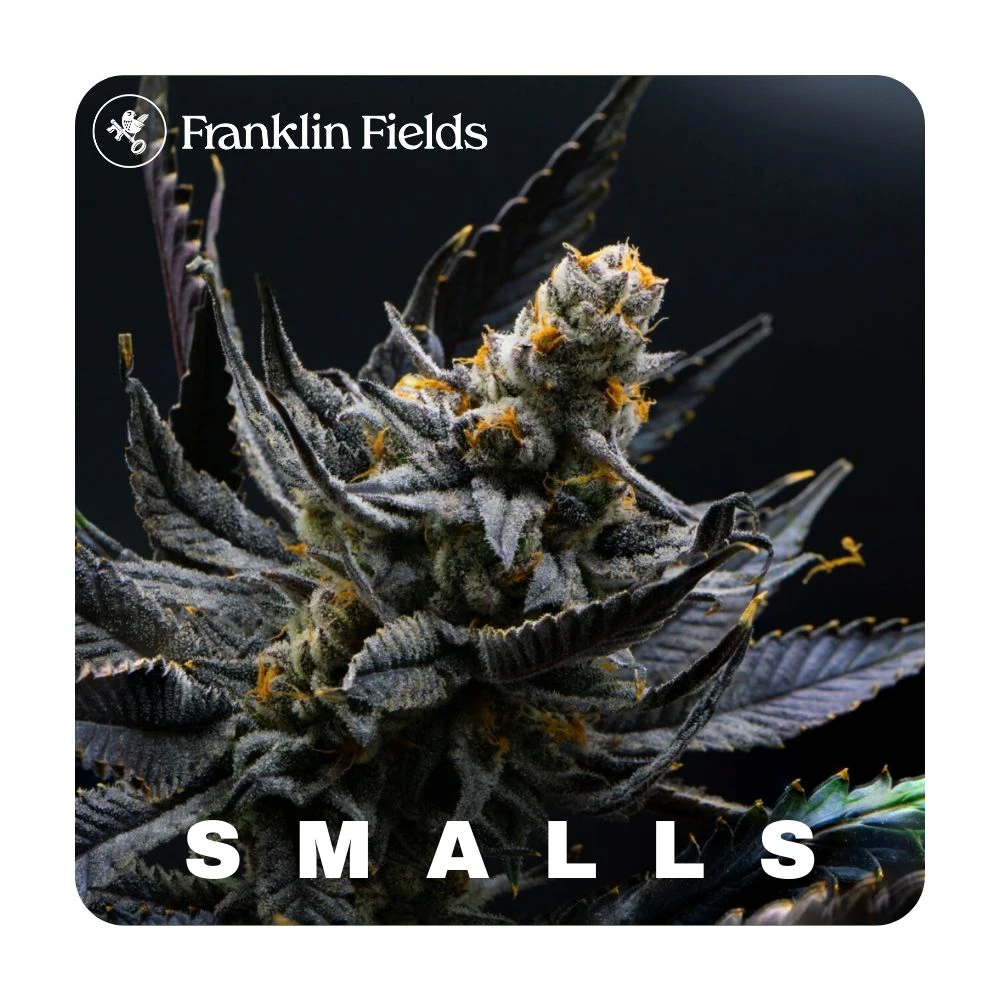 Franklin Fields - (SMALLS)Moon Blend- Franklin Fields Flower Main Image