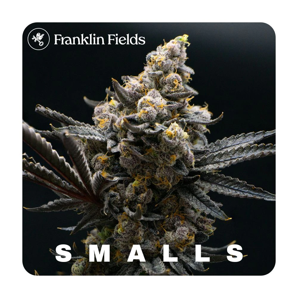 Franklin Fields - (SMALLS)Spritzer - Franklin Fields Flower Main Image