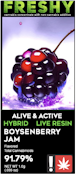 Boysenberry Jam, Live Resin + Botanical Terpenes, 1g