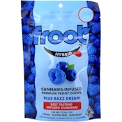 Blue Razz Dream 100mg 10 Pack Gummies - Froot