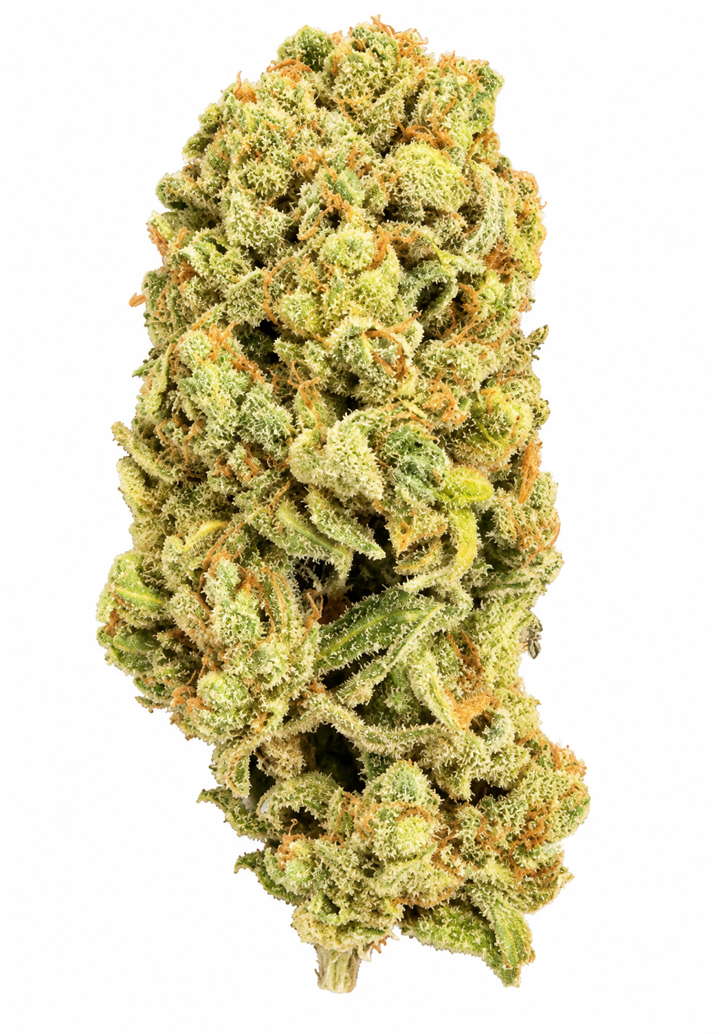 Valhalla Cannabis Company - Sundae Driver- Deli Flower | Valhalla Cannabis Main Image