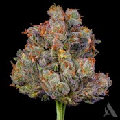 Frosted Fire Flower T18.48% I 00321