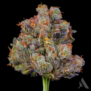 AFFINITY - Frosted Fire Flower T19.14% I 00326