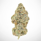 Frosty Smores Paleta