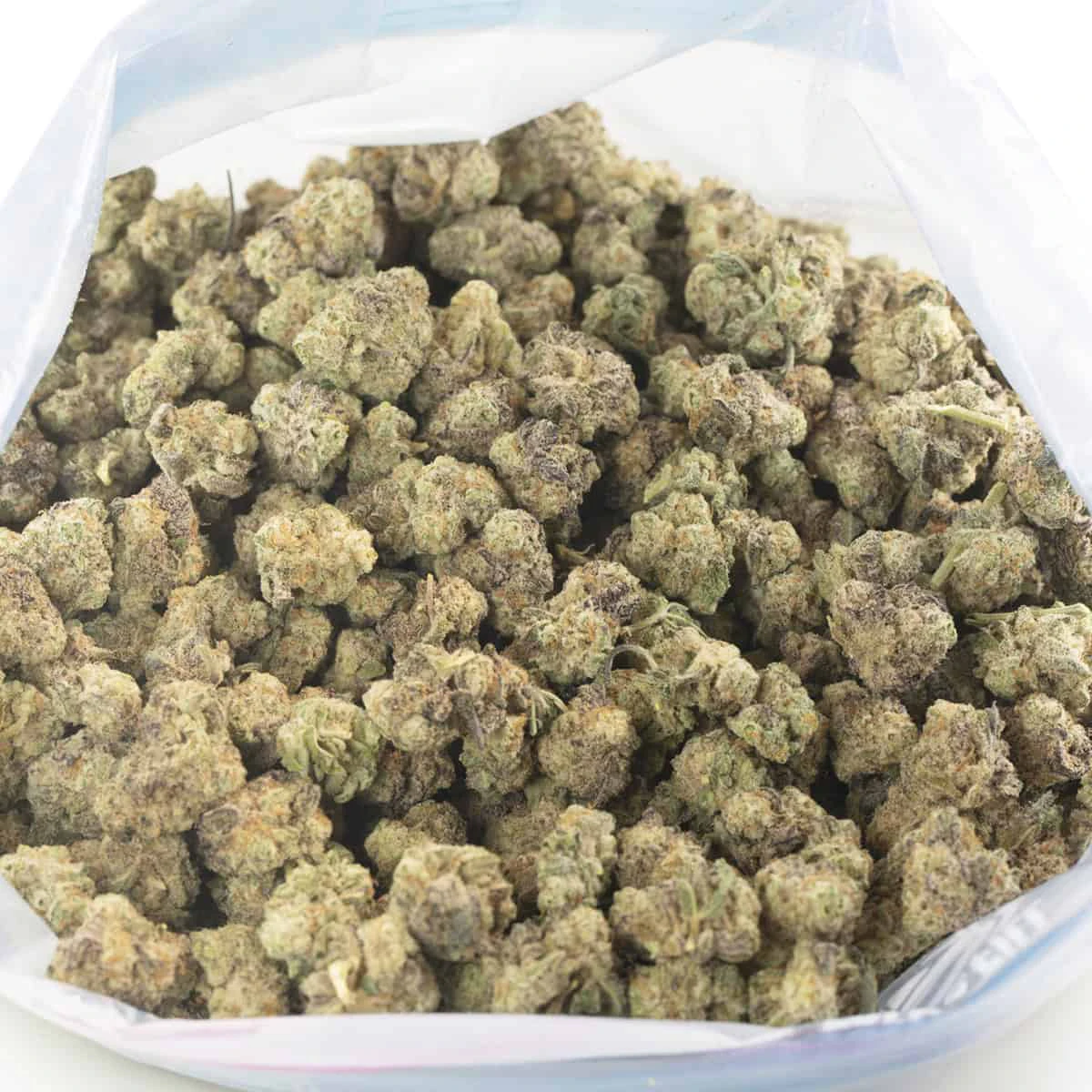 Pearl St - Pearl St | Chem Dawg Main Image