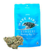 Wave Rider Nursery - Fruit Punch S - Flower - 7g