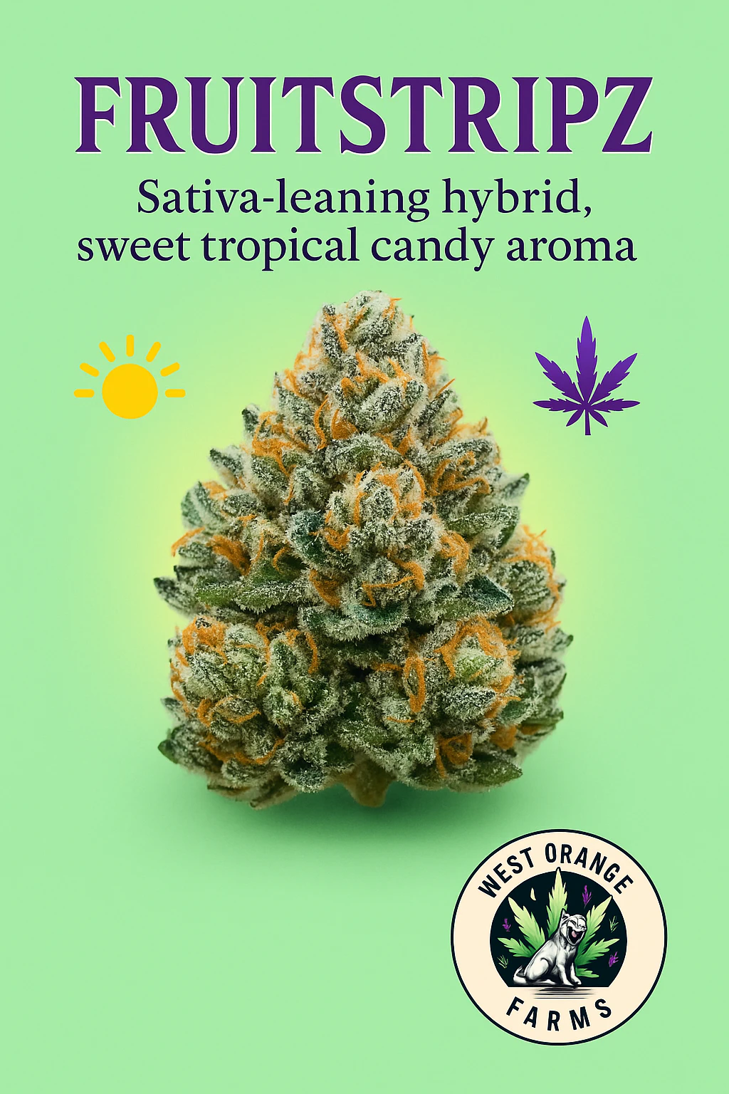 West Orange Farms - Fruitstripz Buds 3.5g Main Image