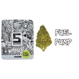 5 Boro - Fuel Pump - 3.5g - Flower