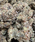 Breadstix | Symbiotic Cultures