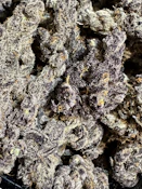 Chimera | Good Life Gardens