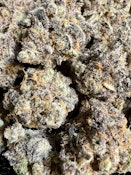Double Kush Breath | Funky Fuel Cannabis