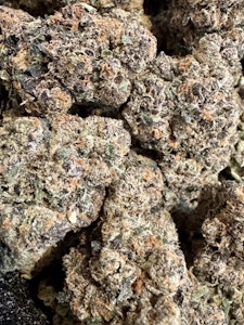 Concrete Cultivation - Crunch Berries | Concrete Cultivation