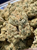 Durban Poison | Well Lit