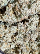 Lempreme | Brave Boat Gardens