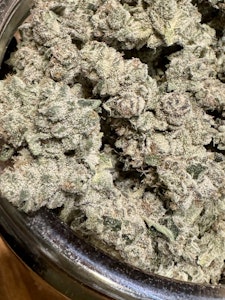 NO BRAND - Snakecake | Northern Terps