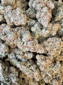 Project 9 | Symbiotic Cultures 