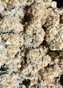 Peanut Butter Breath | Monkey Jones