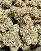 Golden Dawn | The Lone Tree