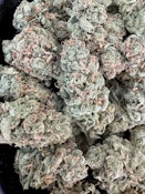 The Juice | Blackwood Cultivation 
