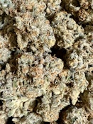 Secret Handshake | Blackwood Cultivation