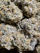 Twice Cream Cake | Monkey Jones