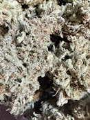 Lez Blurado #6 | Brazen Earthworx