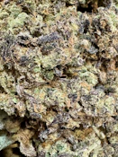 Bomb Sauce | The Lone Tree
