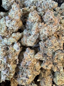 NO BRAND - GMO | Mentation 