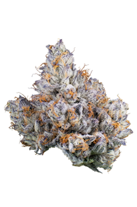 Funeral Cake Buds