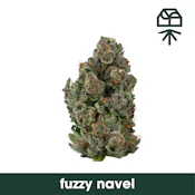 Fuzzy Navel - 7G Flower