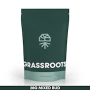 Grassroots | Papaya Drip | 28g
