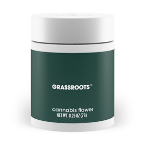 GRASSROOTS (NM) - Grassroot | Blueberry Diesel | 7g