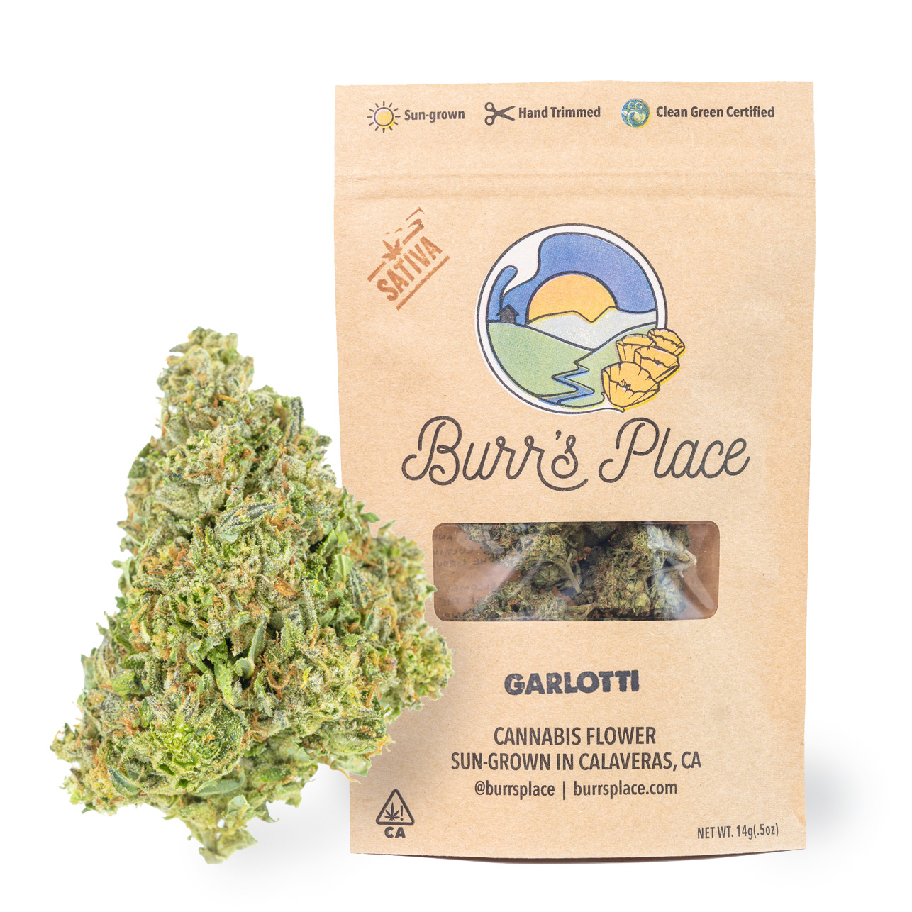 Burr's Place: Burrs Place