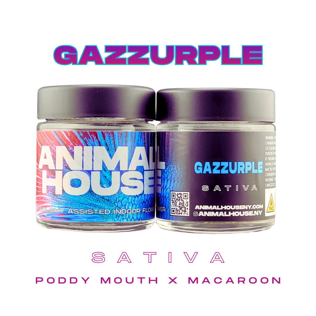 Animal House - Animal House | Gazzurple | Indoor | Flower | 3.5g | Sativa Main Image